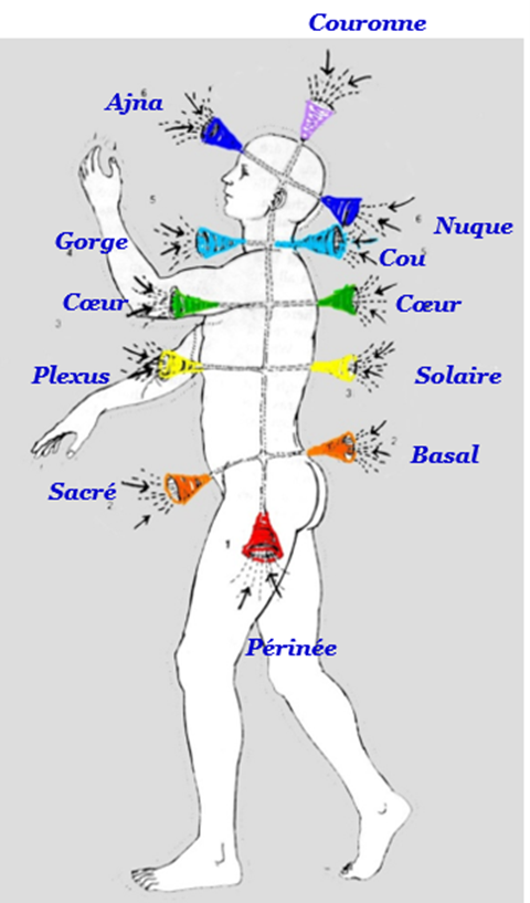 7 chakras